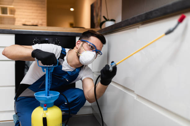 Best Flea Control Services  in Wayne, MI