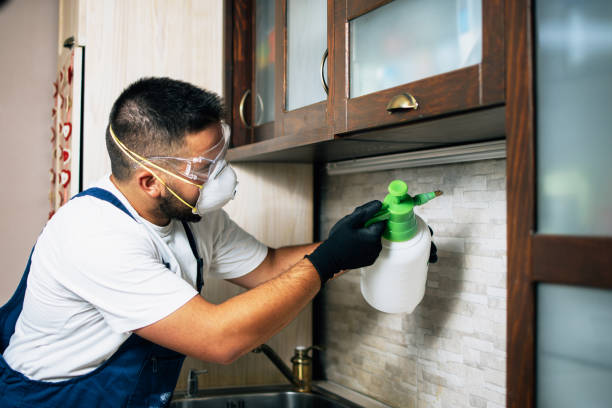 Best Flea Control Services  in Wayne, MI