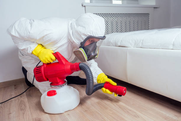 Best Local Pest Control Services  in Wayne, MI