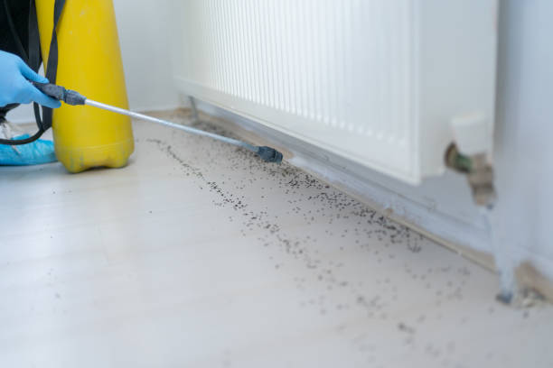Best Best Pest Control Near Me  in Wayne, MI