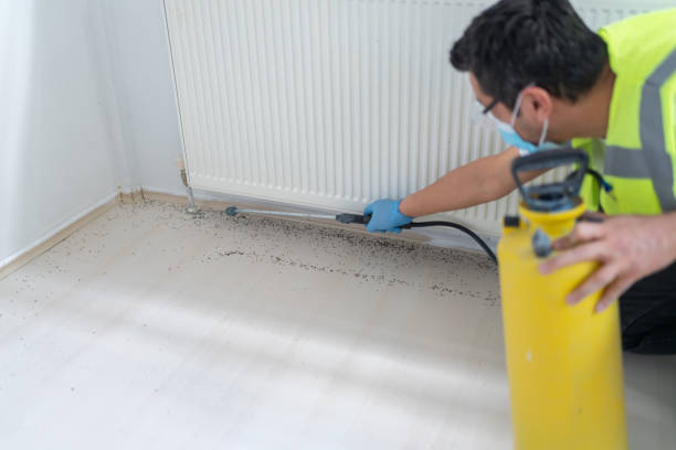 Best Affordable Pest Control Services  in Wayne, MI