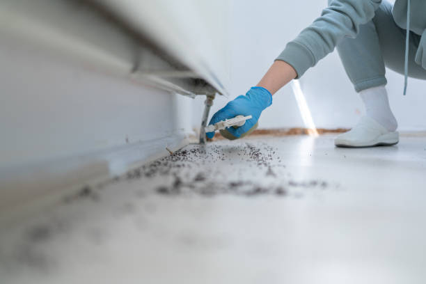 Best Commercial Pest Control Services  in Wayne, MI